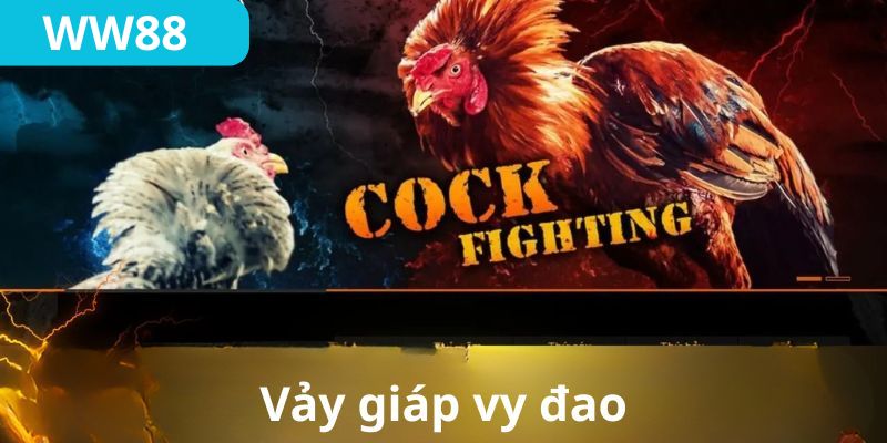 Vảy giáp – thế gà đá mé độc hiểm