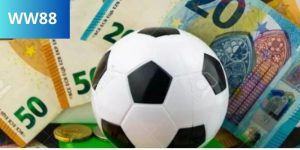 Avt kèo 1/2 là gì